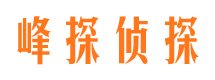 那坡外遇取证